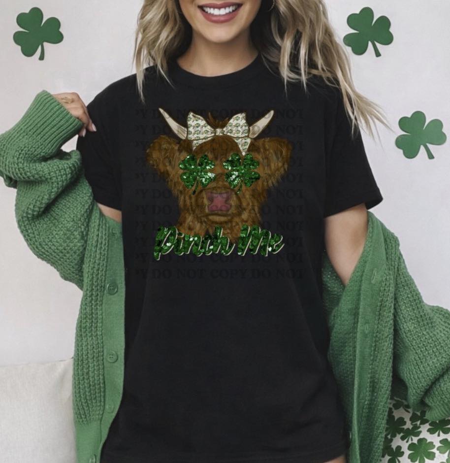 Highland Cow Pinch Me