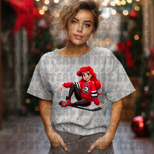 Buffalo Hockey Ariel