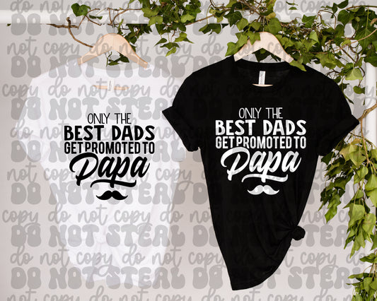 Only The Best Dads Are Promoted To Papa